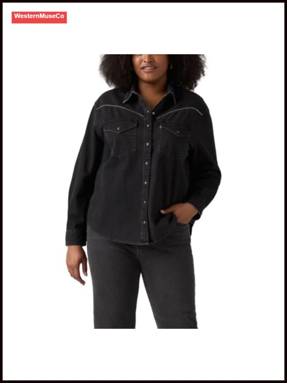Western Button-Down Shirt Long Sleeve Relaxed Fit Collared